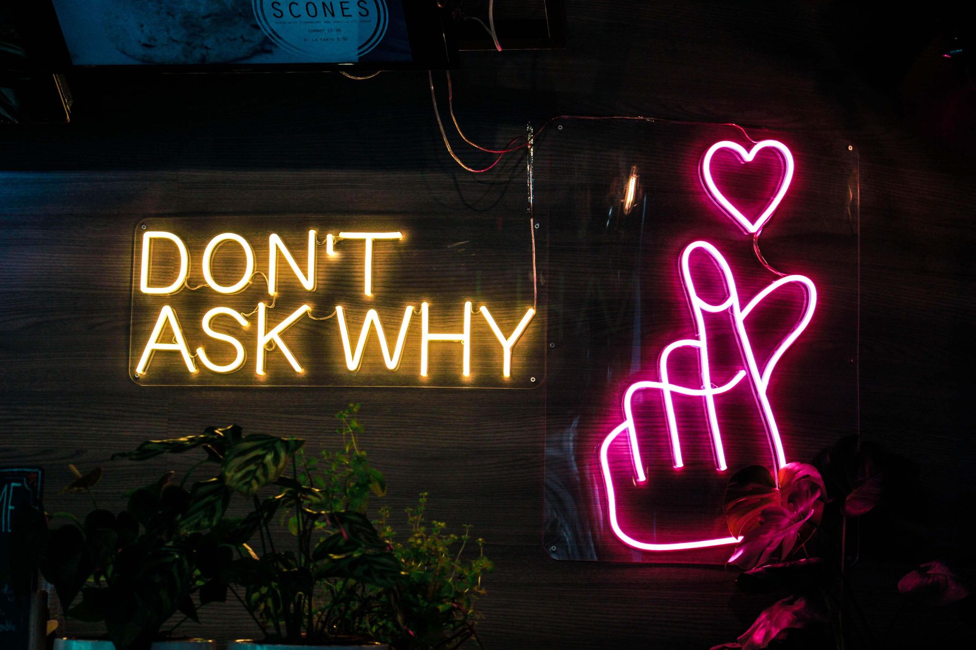 FAQs